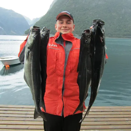 Holiday home Fjordhytte-4 Nahe Trolltunga, Hardanger, Direkt Am Maurangerfjord In Besonders Attraktiver Umgebung Sundal