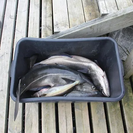 Fjordhytte-4 Nahe Trolltunga, Hardanger, Direkt Am Maurangerfjord In Besonders Attraktiver Umgebung بيت للعطل