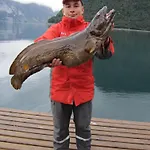 Casa vacanze Fjordhytte-4 Nahe Trolltunga, Hardanger, Direkt Am Maurangerfjord In Besonders Attraktiver Umgebung *